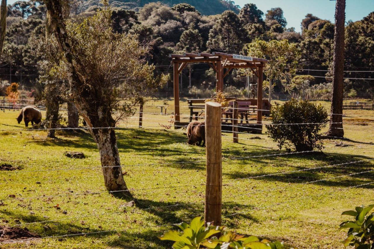 Pousada Lago Da Colina Urubici Bagian luar foto