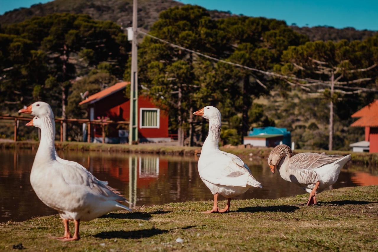 Pousada Lago Da Colina Urubici Bagian luar foto